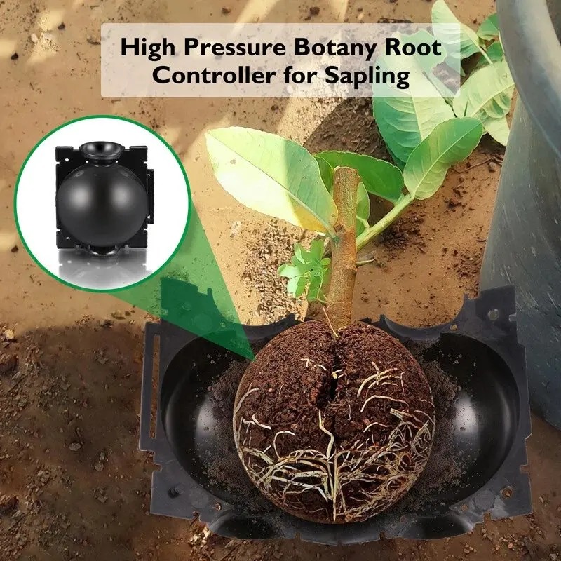 5/30Pcs Plant Rooting Ball Gra - Plant Growth Regulator review and price