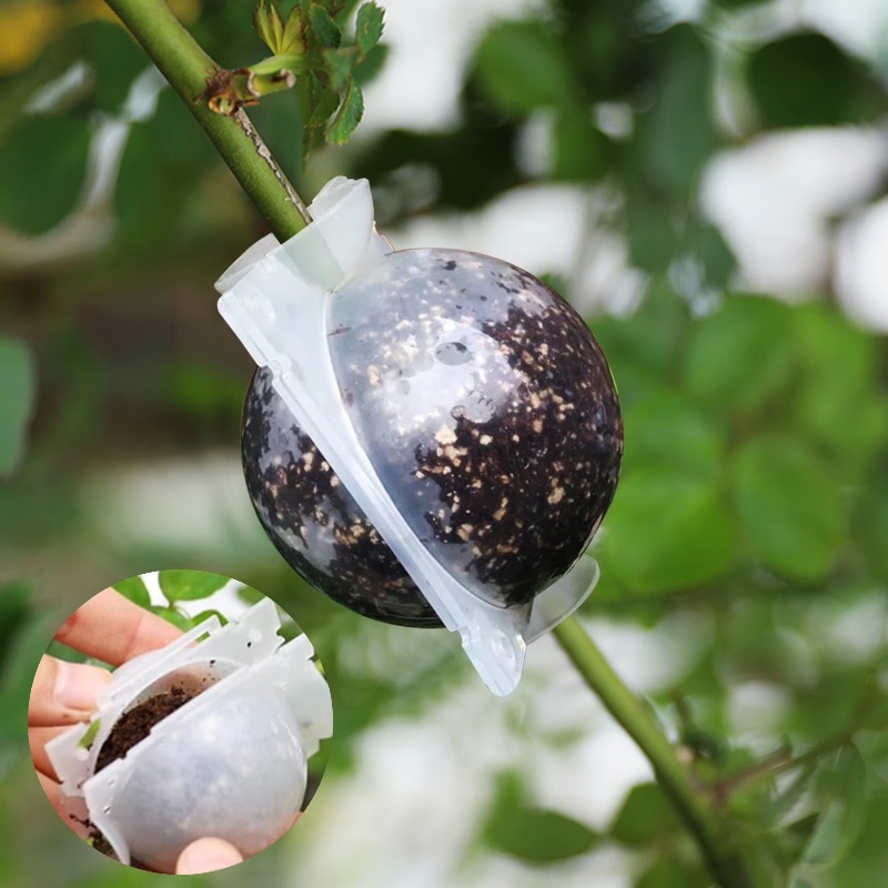 5/30Pcs Plant Rooting Ball Gra - Plant Growth Regulator review and price