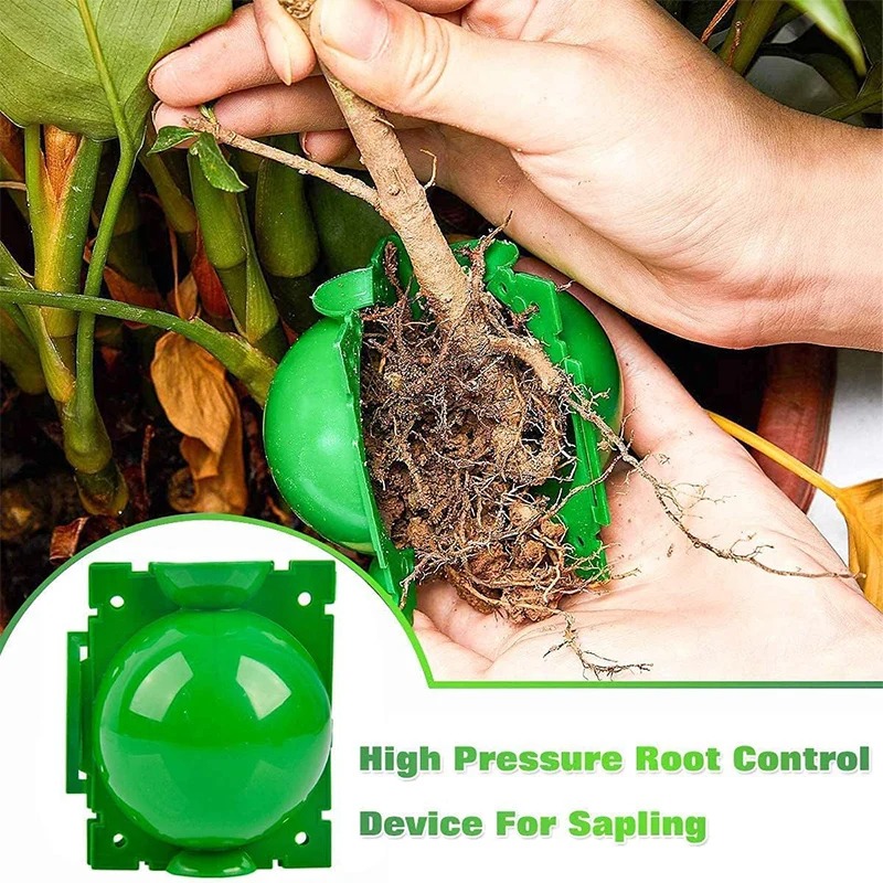 5/30Pcs Plant Rooting Ball Gra - Plant Growth Regulator review and price