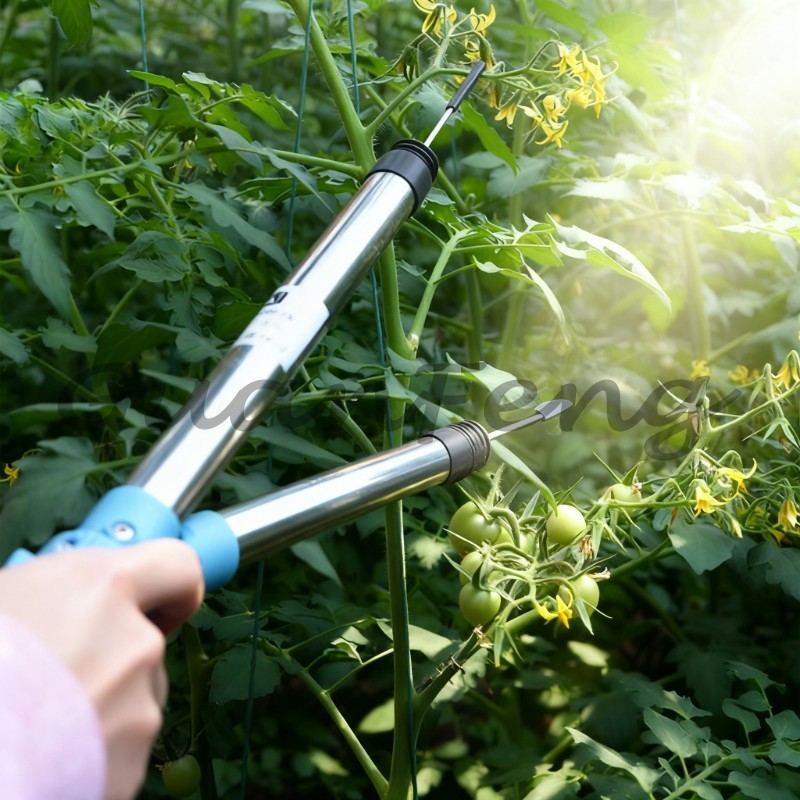 220V‑50Hz 6A Electric Vibratio - Agriculture Tomato Farming review and price