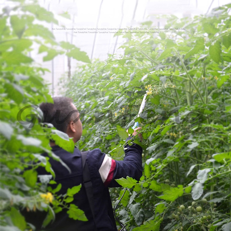 220V‑50Hz 6A Electric Vibratio - Agriculture Tomato Farming review and price