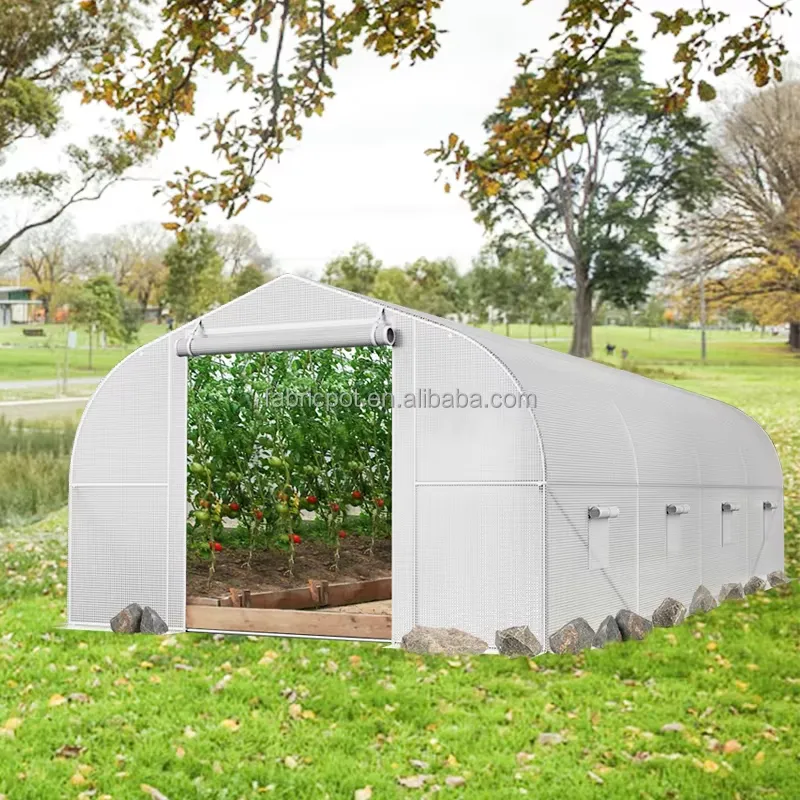 Agricultural Farm Poly Tunnel  - Agriculture Tomato Farming review and price