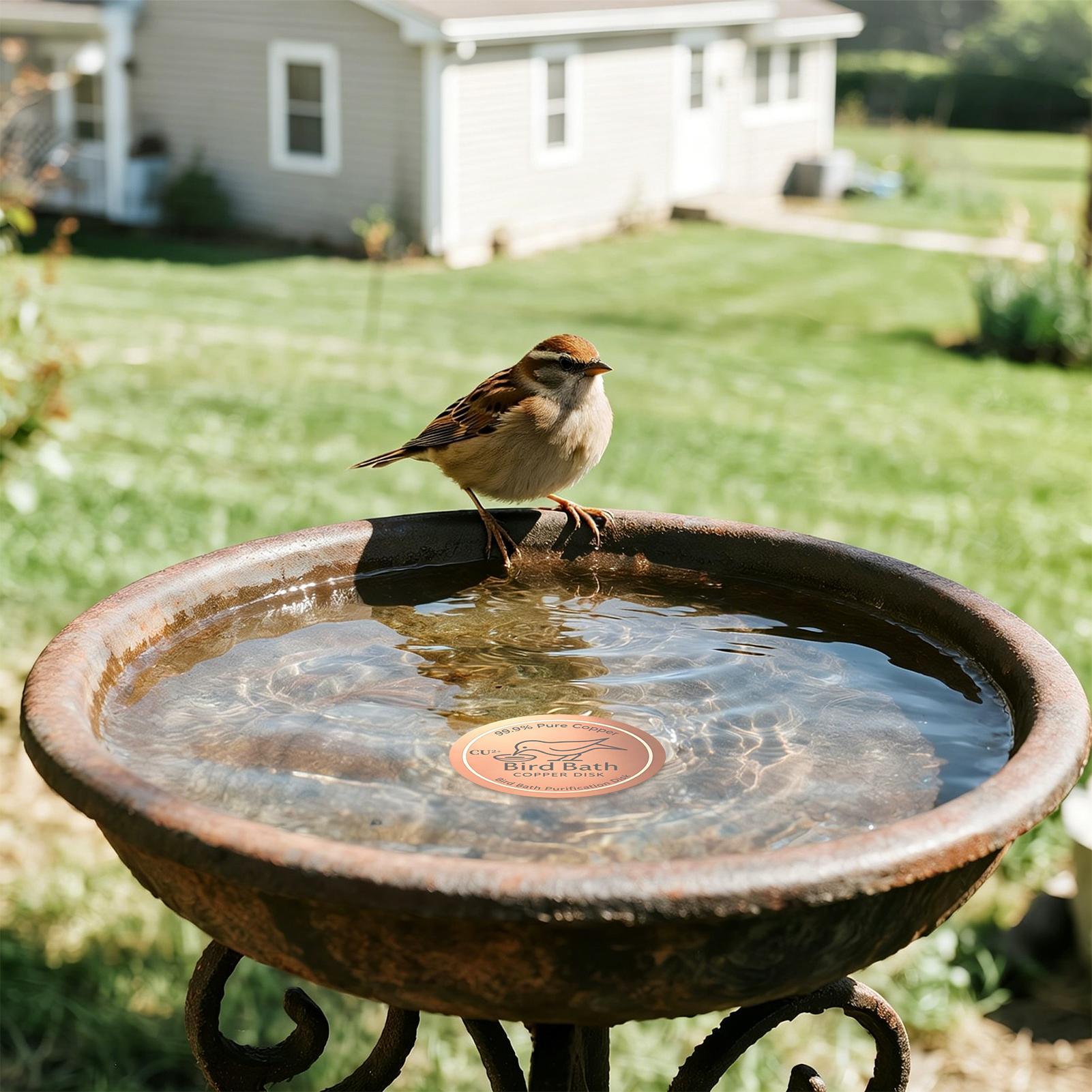 Bird Bath Copper Disk 0.6mm Th - Farming & Agriculture Word Stacks review and price
