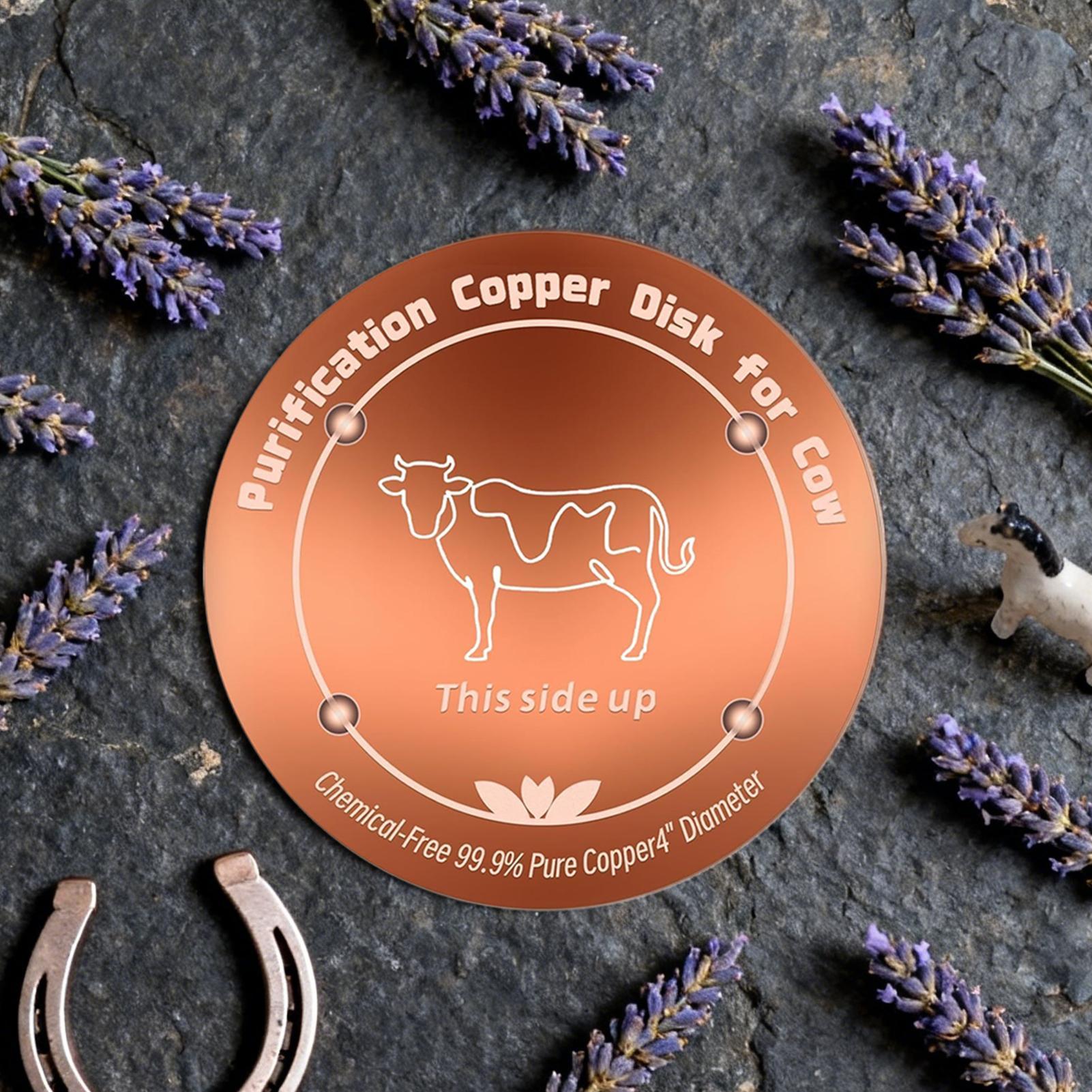 Bird Bath Disc with Three-Poin - Farming & Agriculture Word Stacks review and price