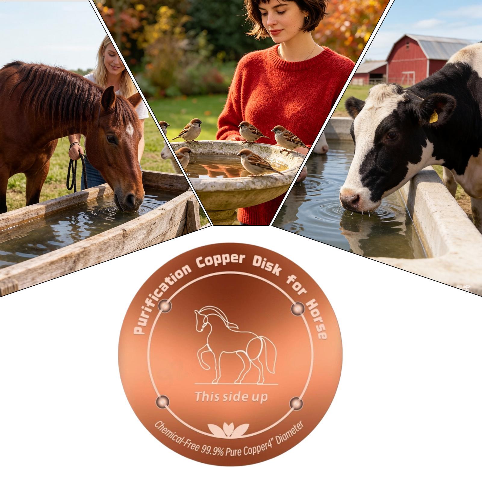 4 Inch Copper Purifier Cow Wat - Farming & Agriculture Word Stacks review and price