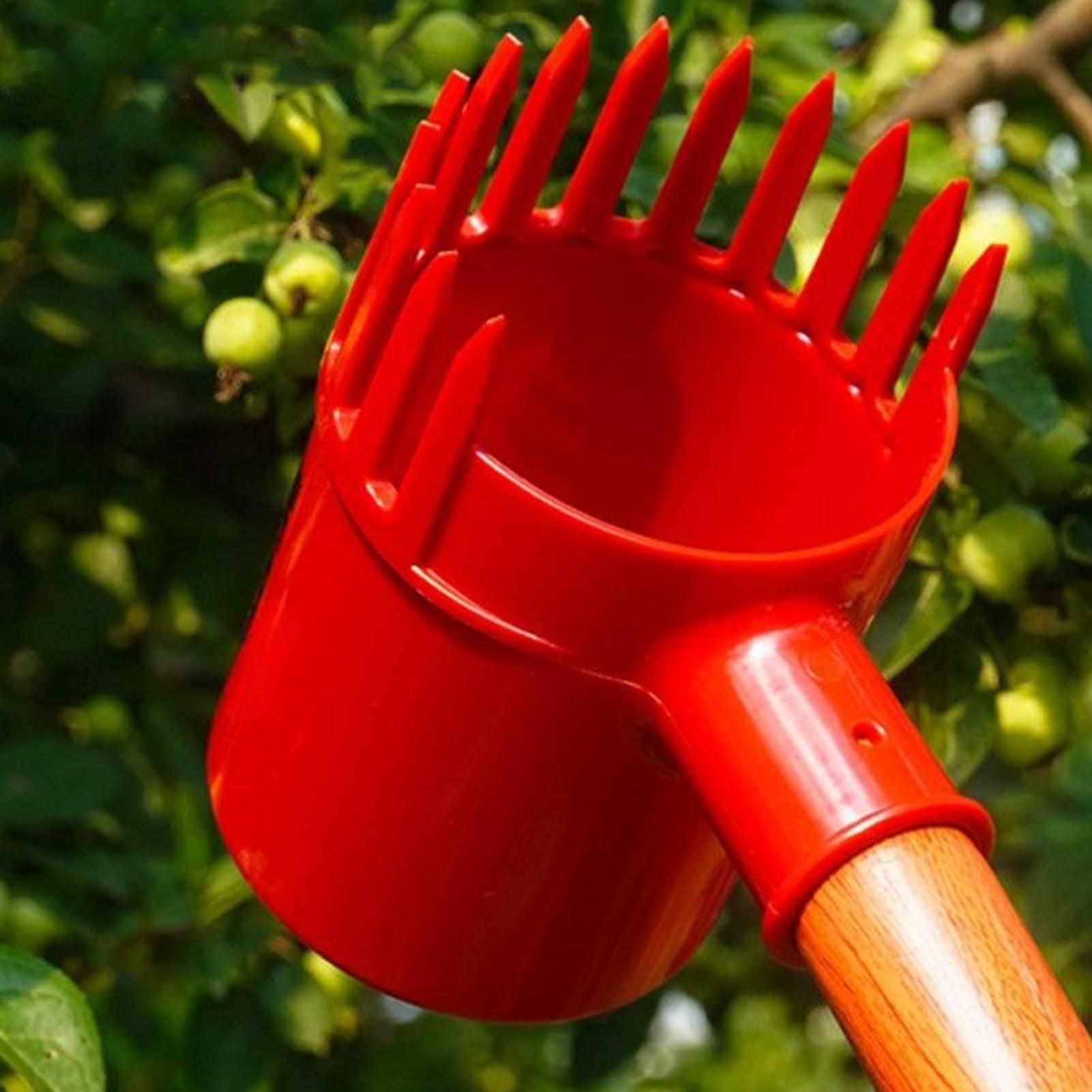 Fruits Picker Portable Harvest - Agriculture Tomato Farming review and price