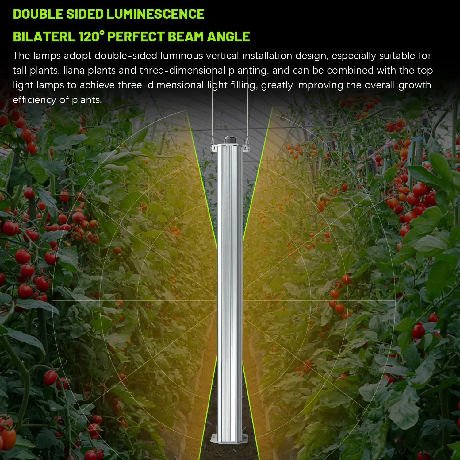 Best ETL Listed Plant Green Wa - Agriculture Tomato Farming review and price