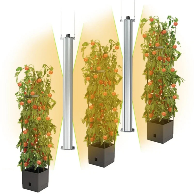 Best ETL Listed Plant Green Wa - Agriculture Tomato Farming review and price