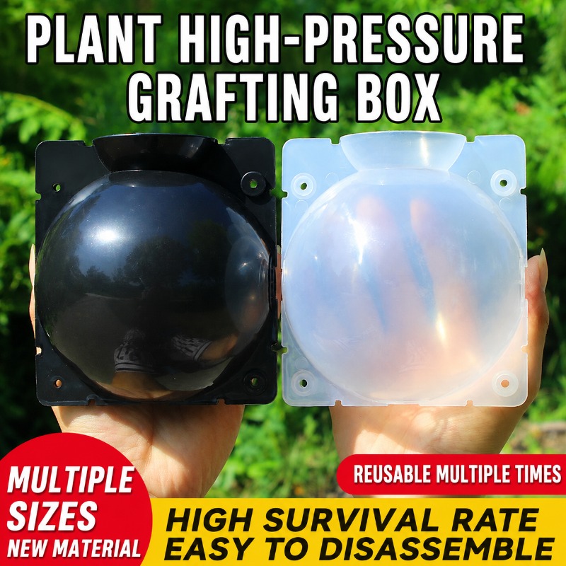10pcs Plant Propagation Kit: H - Plant Growth Regulator review and price