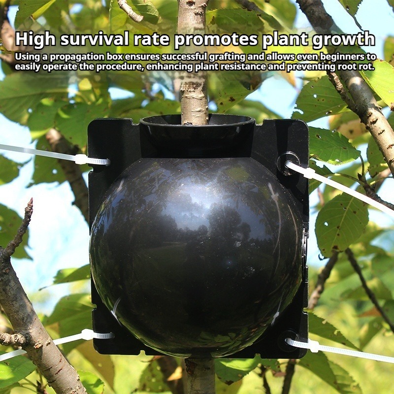 10pcs Plant Propagation Kit: H - Plant Growth Regulator review and price