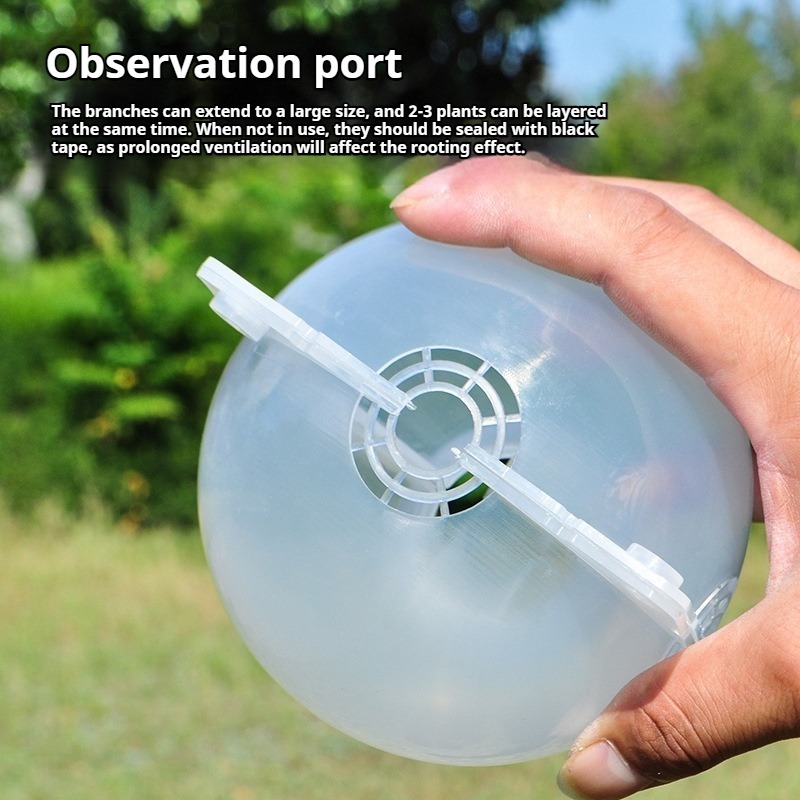 10pcs Plant Propagation Kit: H - Plant Growth Regulator review and price