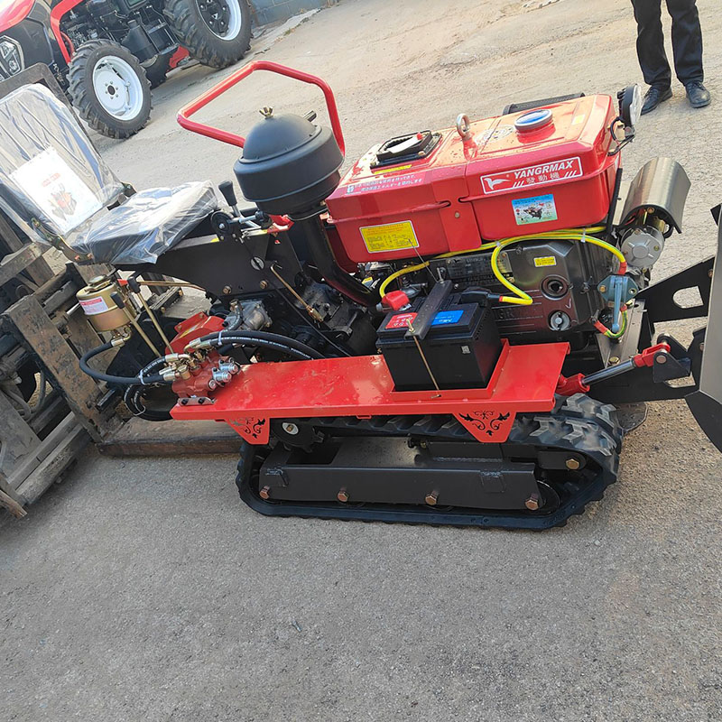1-Year Warranty Compact Size C - Farming Year review and price