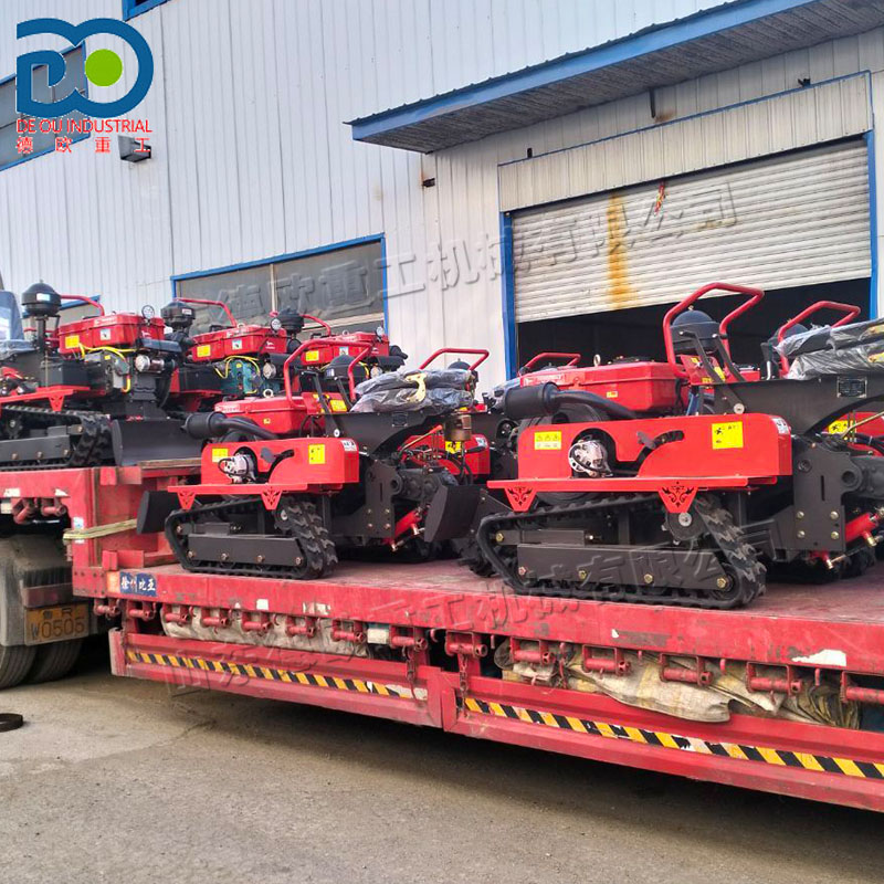 1-Year Warranty Compact Size C - Farming Year review and price