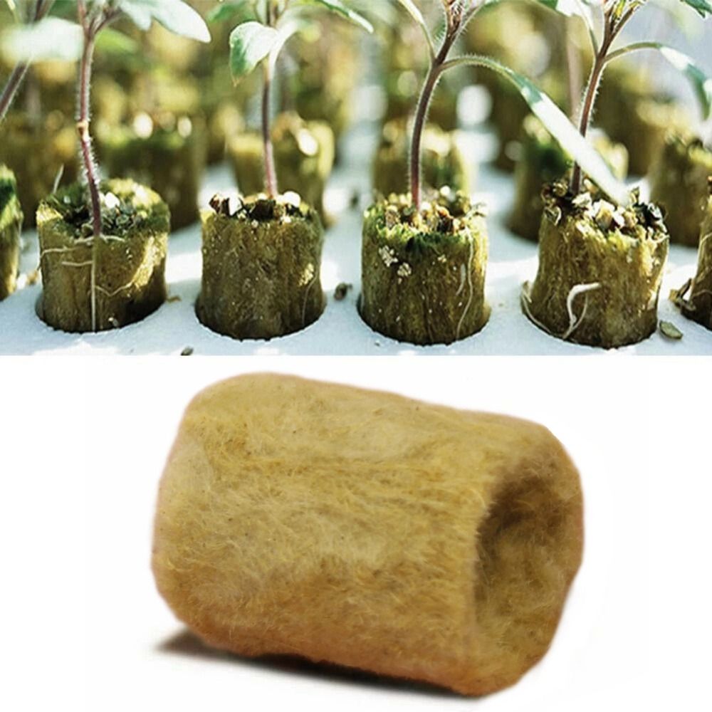 50PCS 27*20mm Size Hydroponic  - Nursery Plug Tray review and price