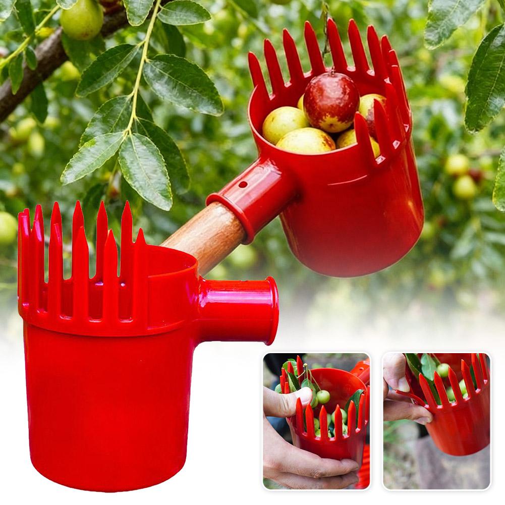 1pc Small Fruits Picker Portab - Agriculture Tomato Farming review and price