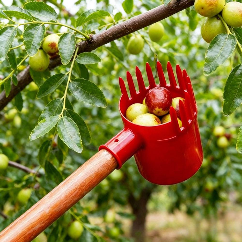 1pc Small Fruits Picker Portab - Agriculture Tomato Farming review and price