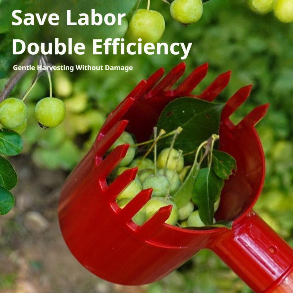 1pc Small Fruits Picker Portab - Agriculture Tomato Farming review and price