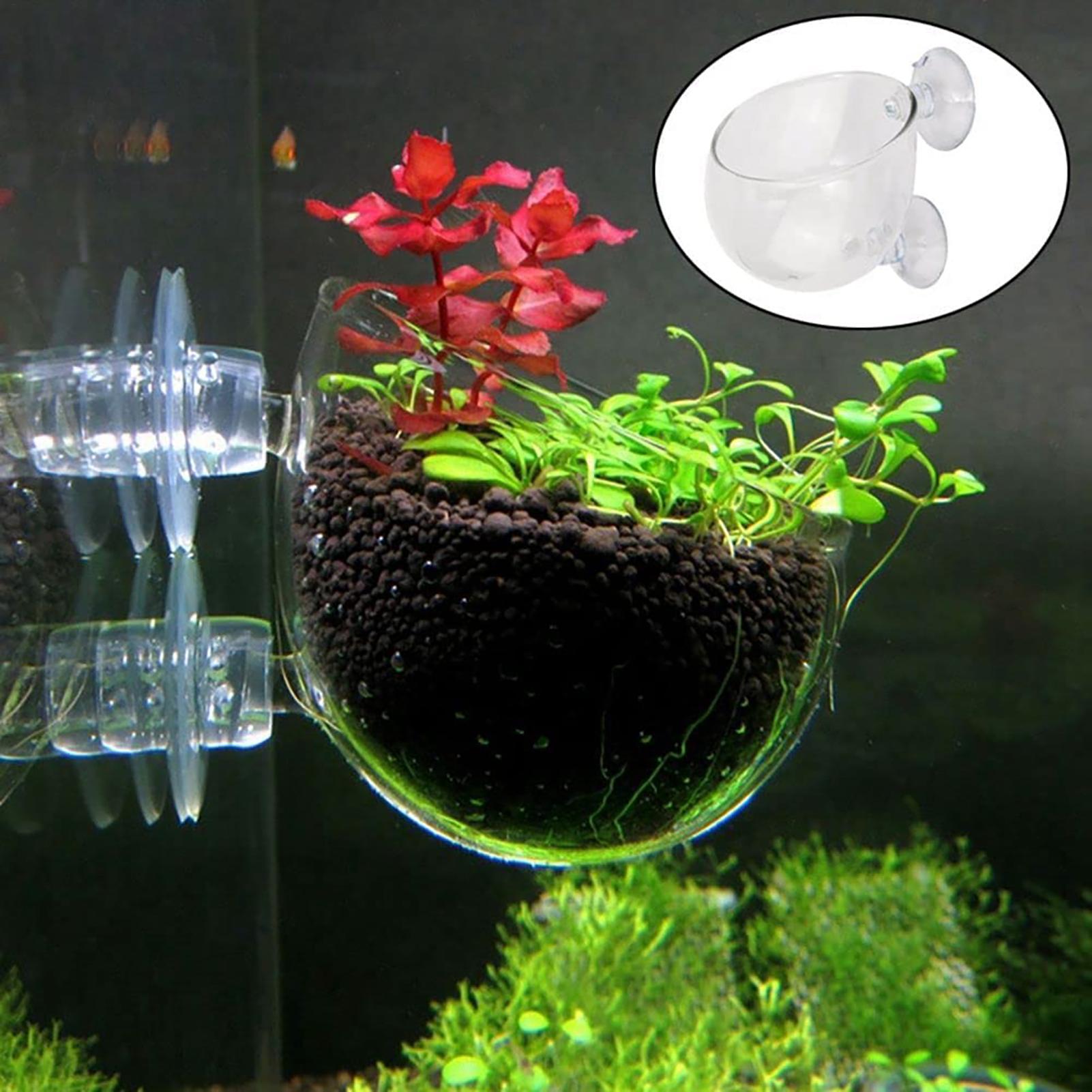 Aquatic Plant Pot Clear Acryli - Plant Growth Regulator review and price