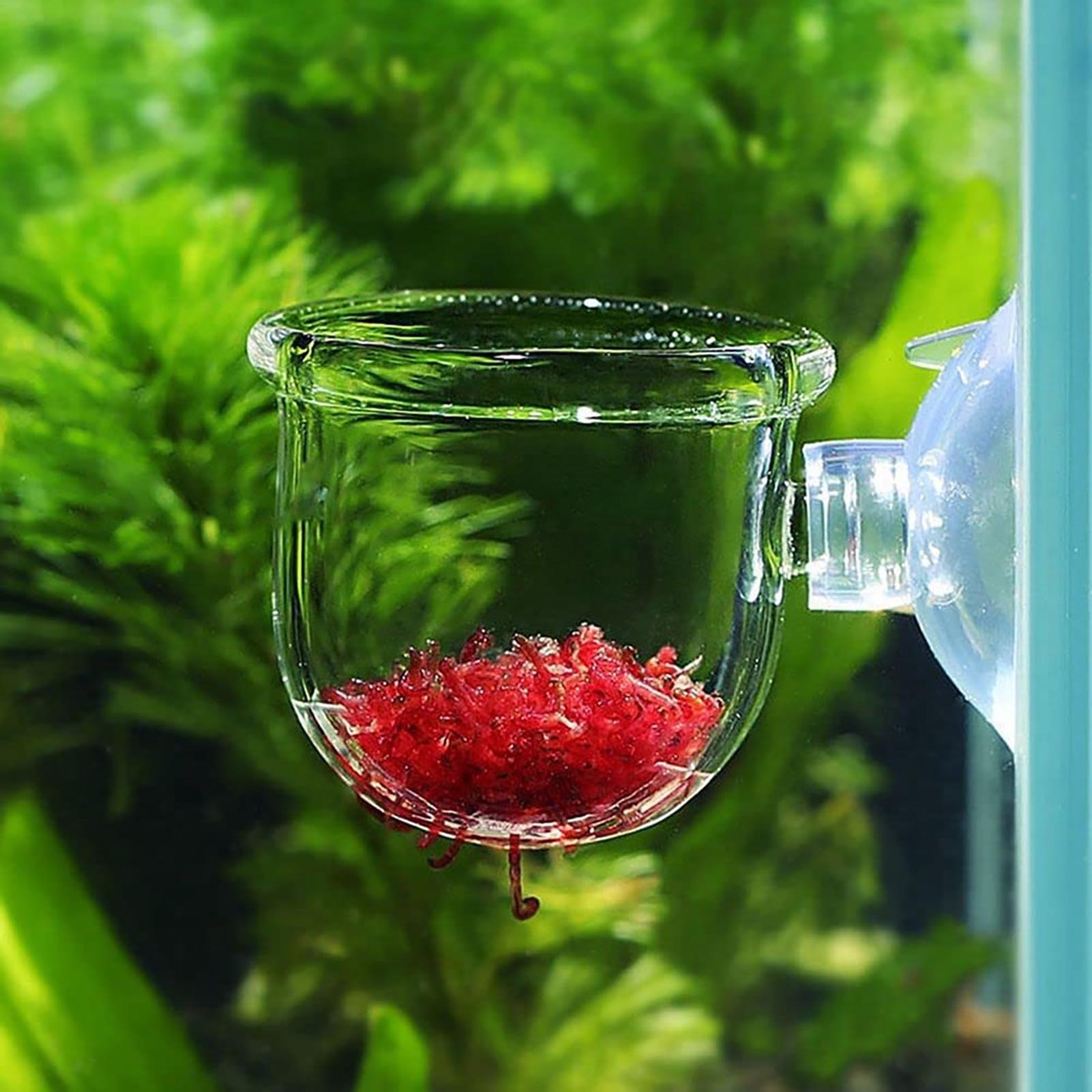 Aquatic Plant Pot Clear Acryli - Plant Growth Regulator review and price