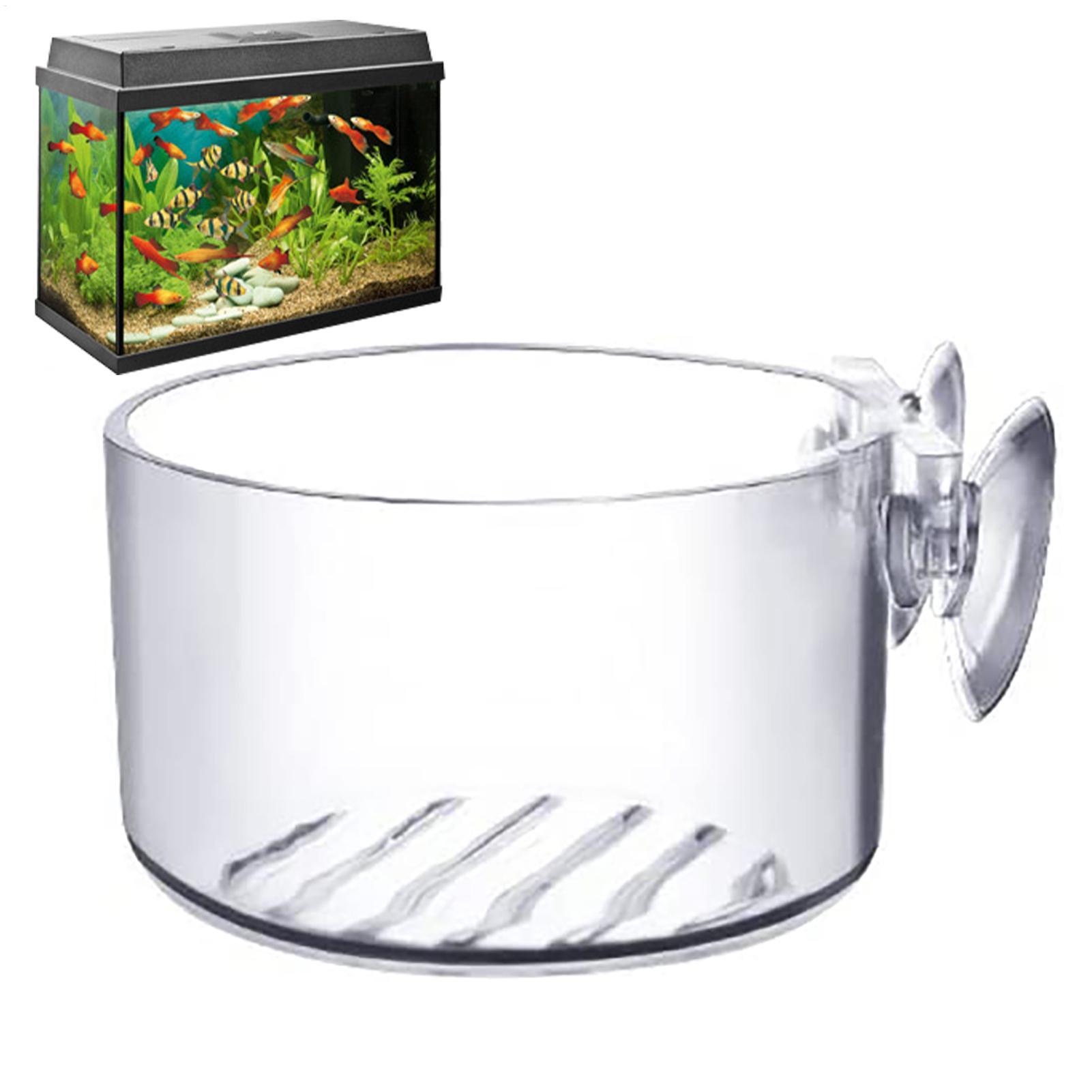 Aquatic Plant Pot Acrylic Aqua - Plant Growth Regulator review and price