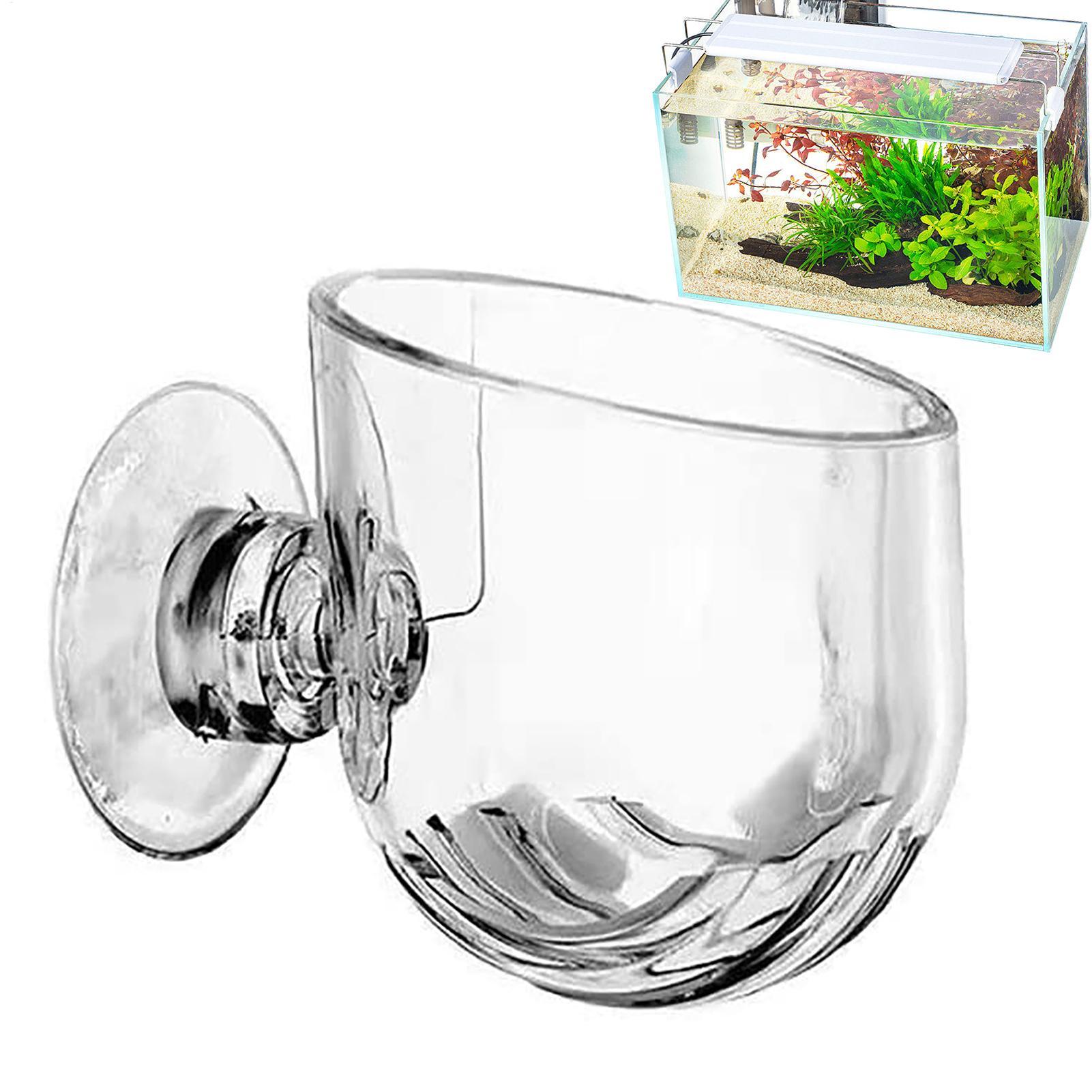Aquatic Plant Pot Acrylic Aqua - Plant Growth Regulator review and price