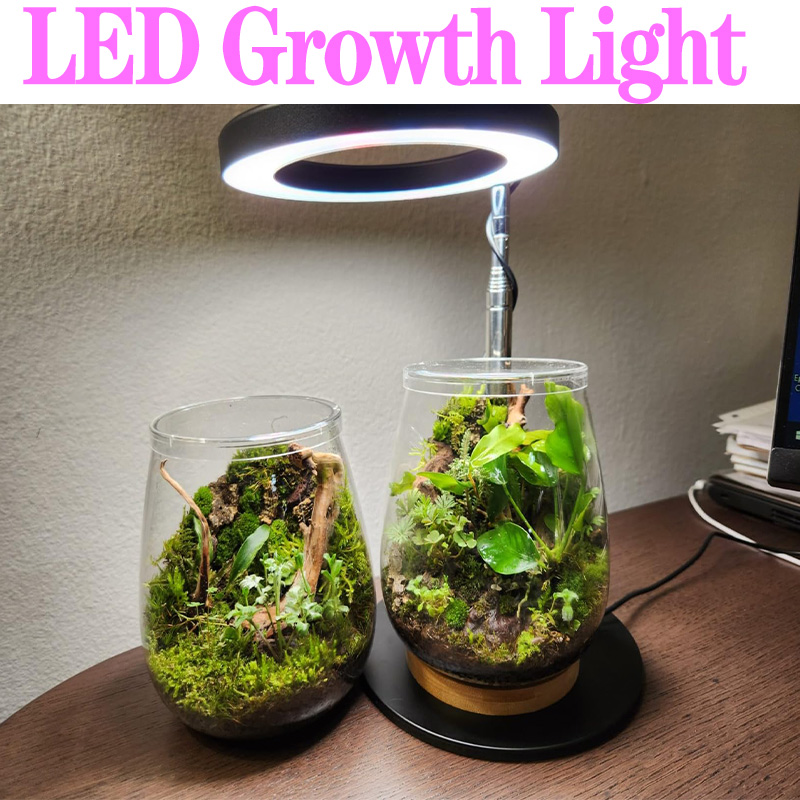 Full Spectrum Plant Lamp USB G - Plant Growth Regulator review and price
