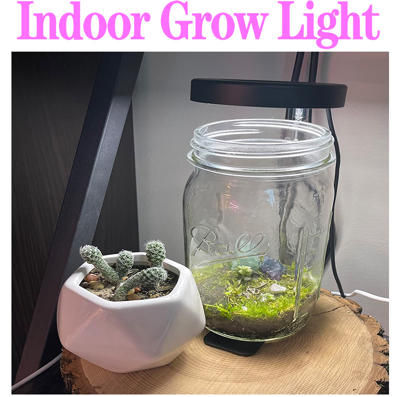 Full Spectrum Plant Lamp USB G - Plant Growth Regulator review and price