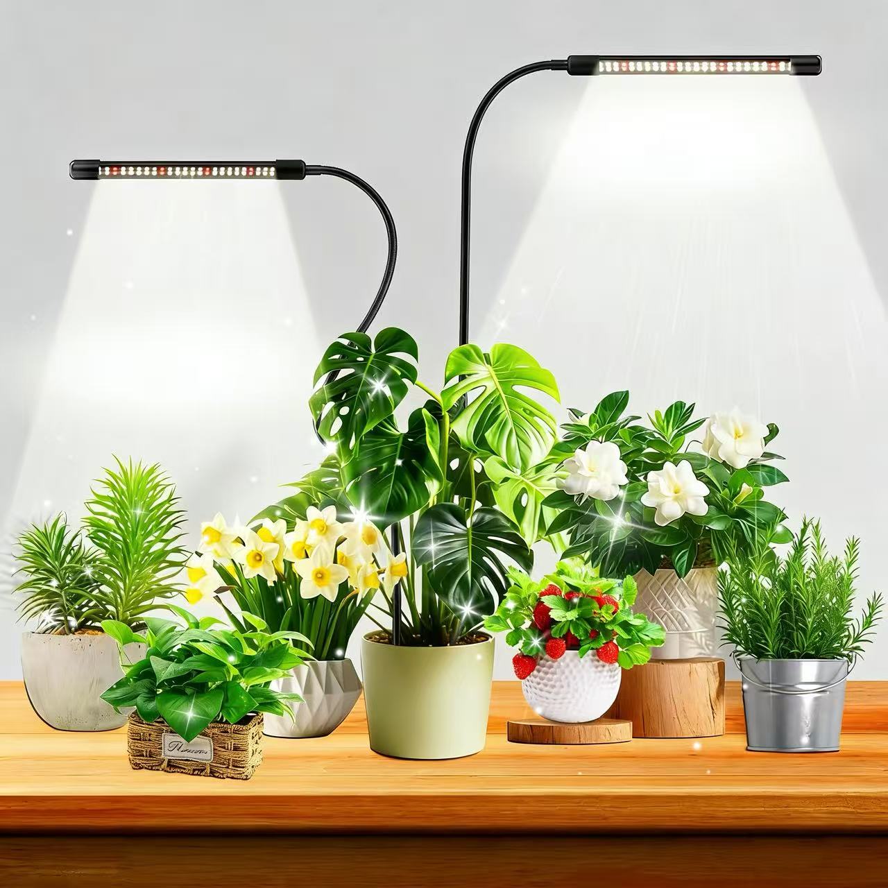 48LEDs Grow Lights for Indoor  - Plant Growth Regulator review and price