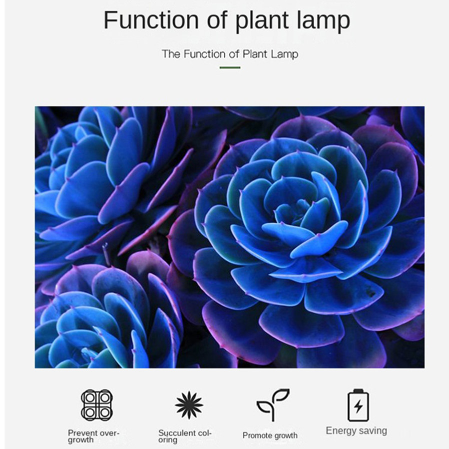 PwwQmm LED Plant Grow Lamp USB - Plant Growth Regulator review and price