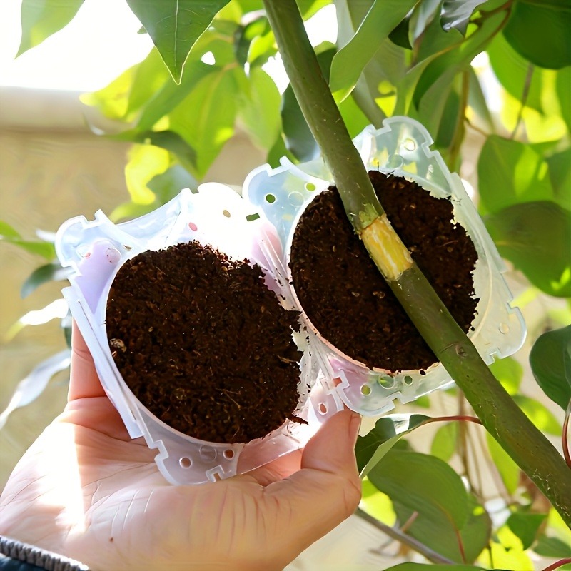 10Pcs High Pressure Plant Root - Plant Growth Regulator review and price