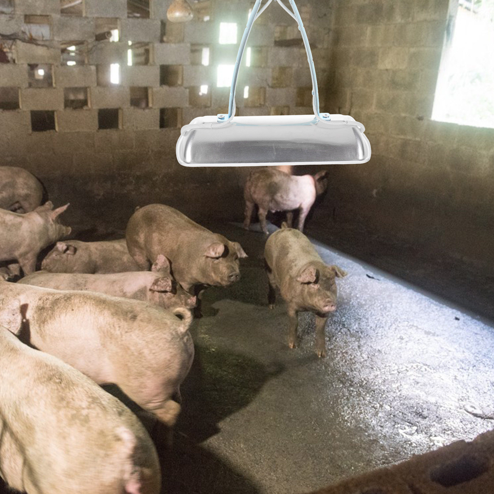 Pig Farm Preservation Lamp Chi - Farming & Agriculture Word Stacks review and price
