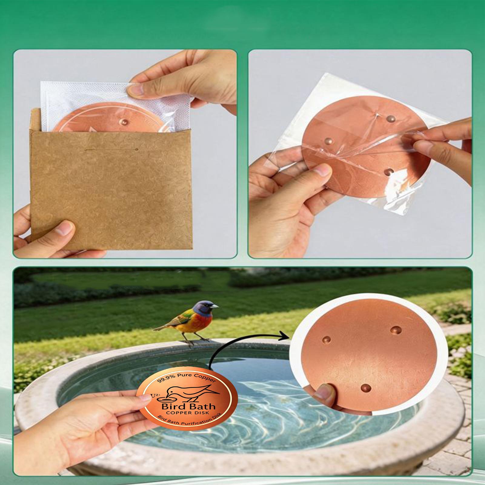 Bird Bath Copper Disc 0.6mm Th - Farming & Agriculture Word Stacks review and price